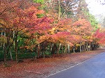 DSC05858.jpg