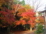 DSC05859.jpg