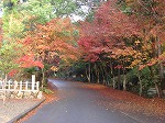 DSC05860.jpg